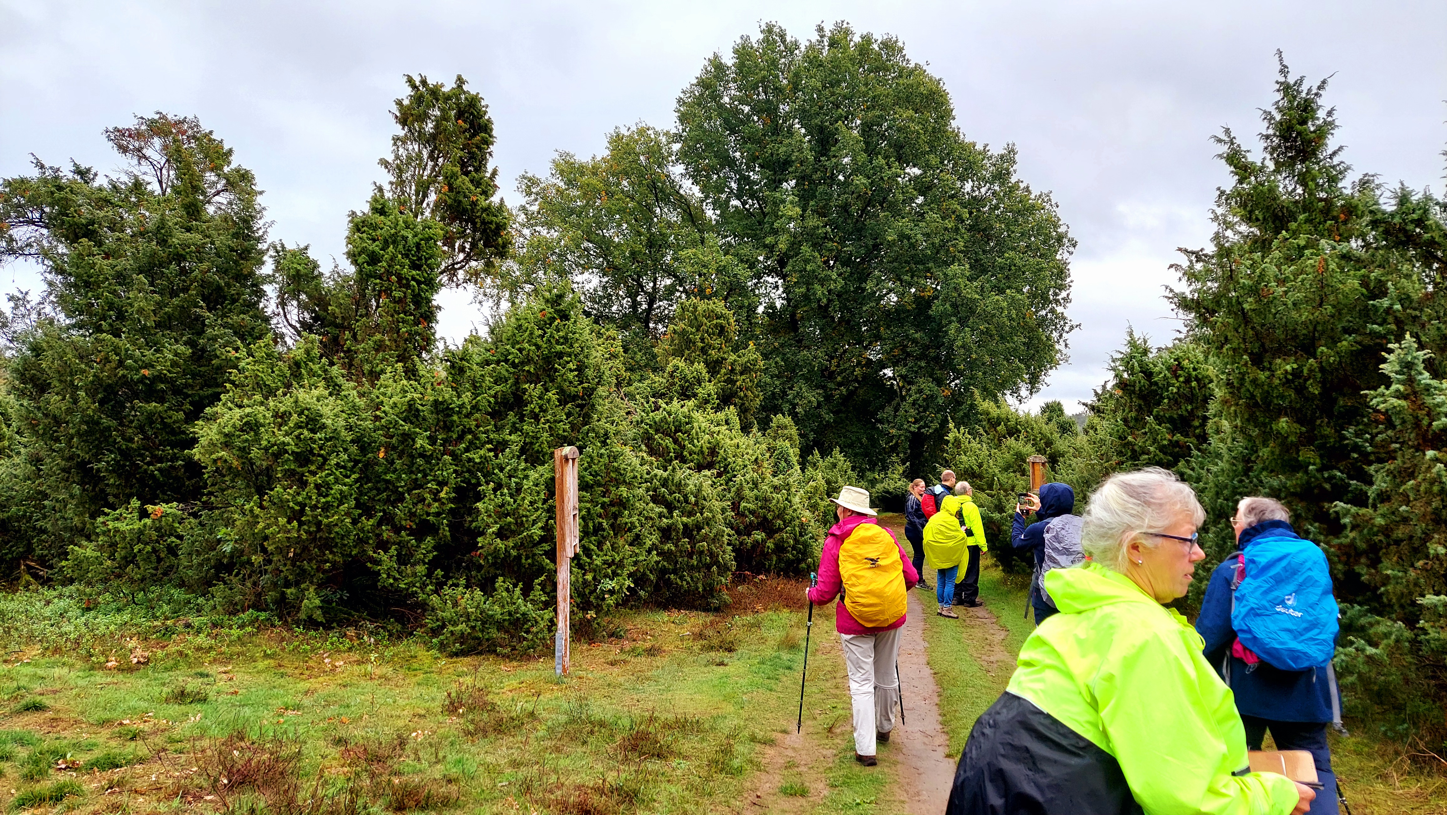 Bild der Wanderung durch die Hohe Mark in Haltern
